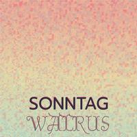 Sonntag Walrus