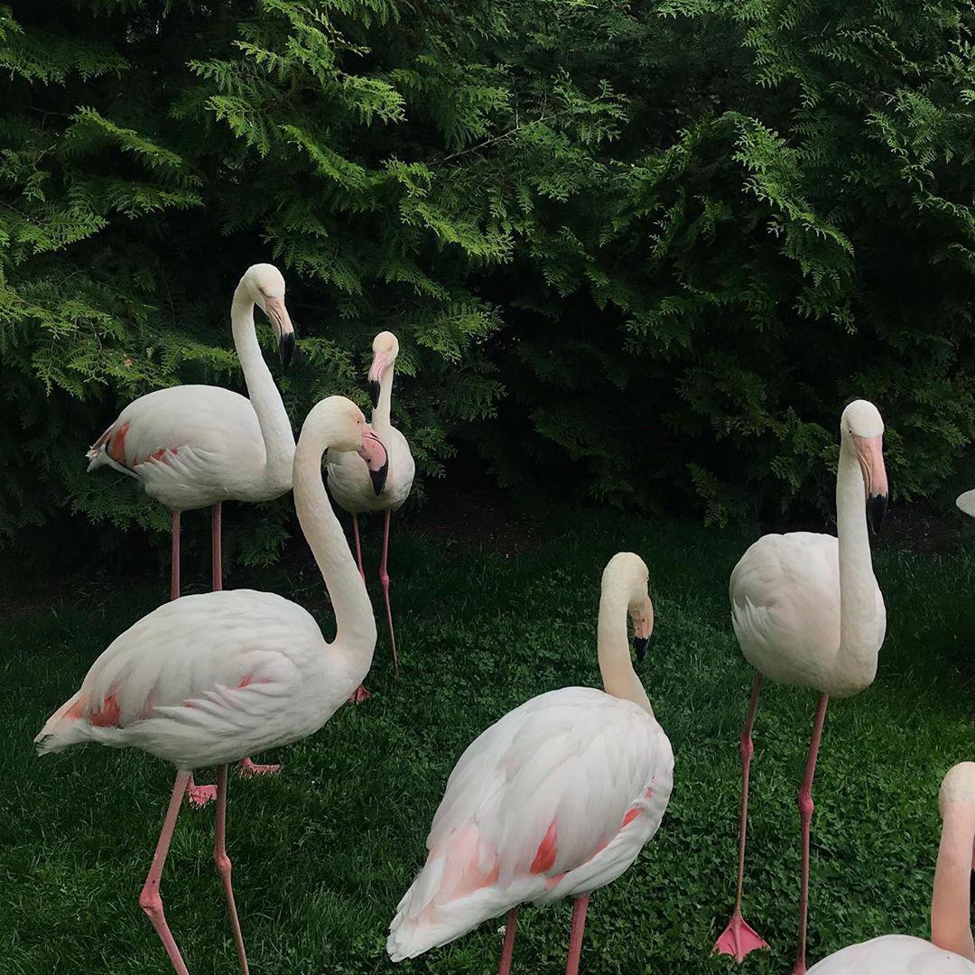 Havana-I Lost You（VaSka / 黎轩 / 品味 / CaSsie remix）