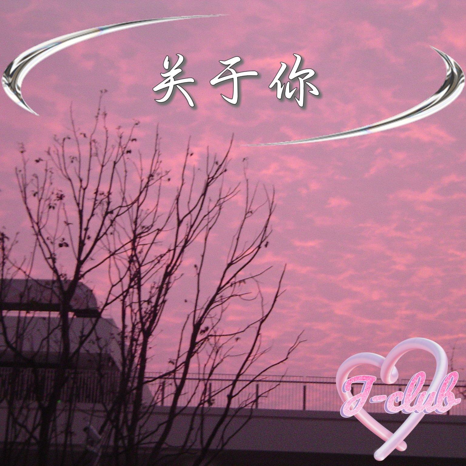 我无法做到的是 为你最后写一首歌（live）封面