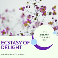 Ecstasy Of Delight - Peaceful Meditation Music