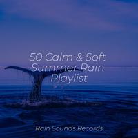 50 Calm & Soft Summer Rain Playlist