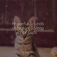 Peaceful Sounds of Nature | Sleep For Cats