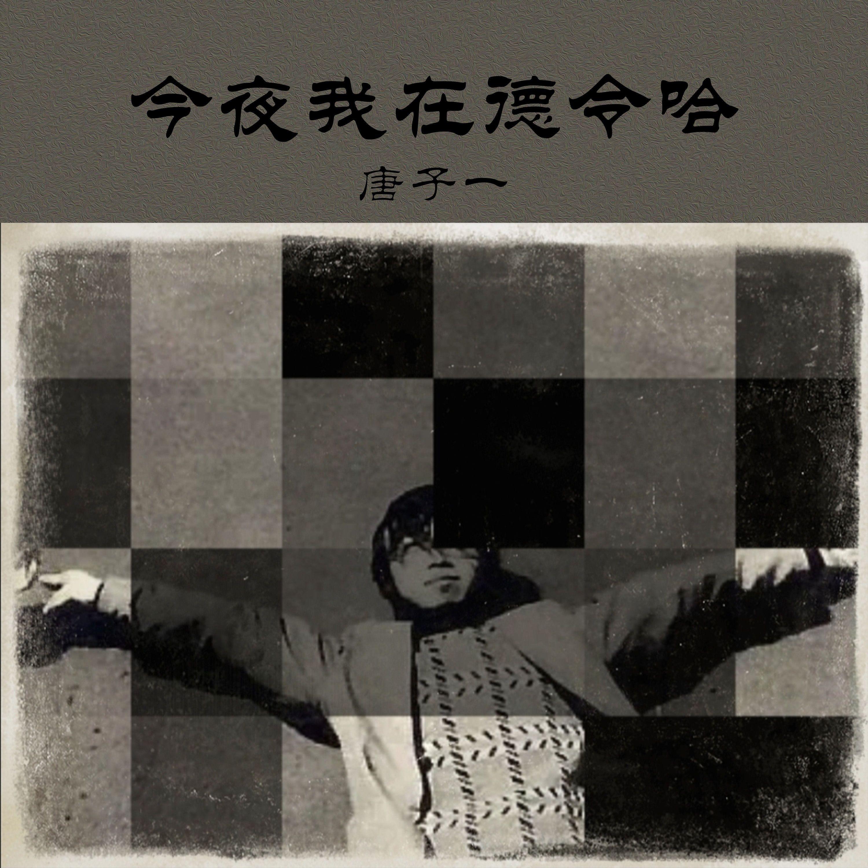 今夜我在德令哈封面