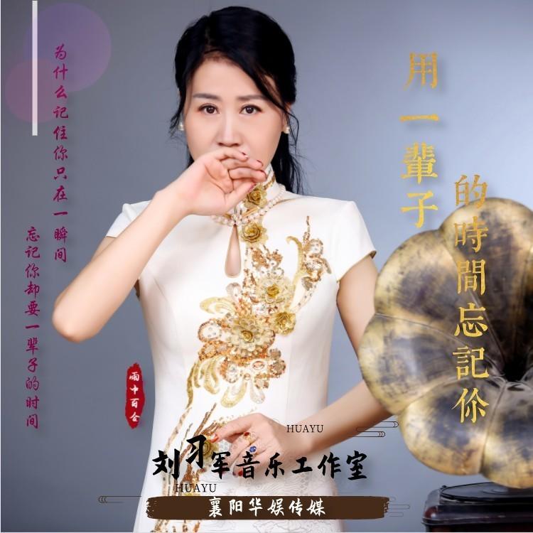 用一辈子时间忘记你封面