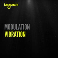 Vibration