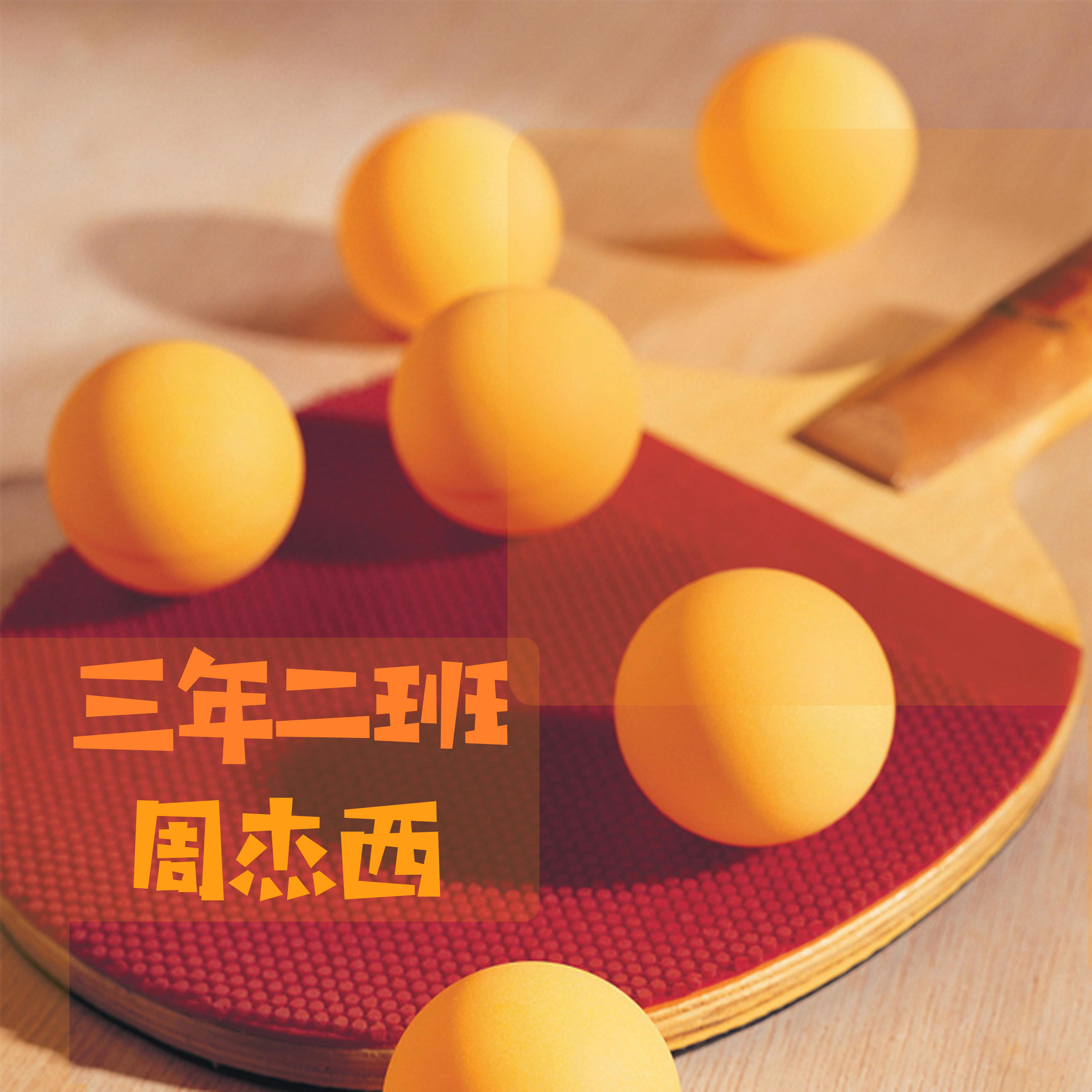 龙拳封面