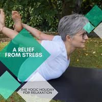 A Relief From Stress - The Yogic Holiday For Relaxation