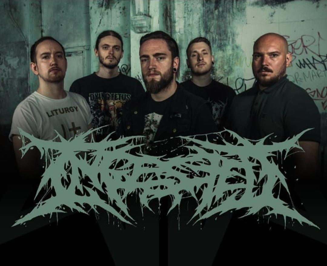Ingested