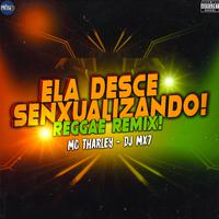 Reggae Remix Ela Desce Senxualizando!