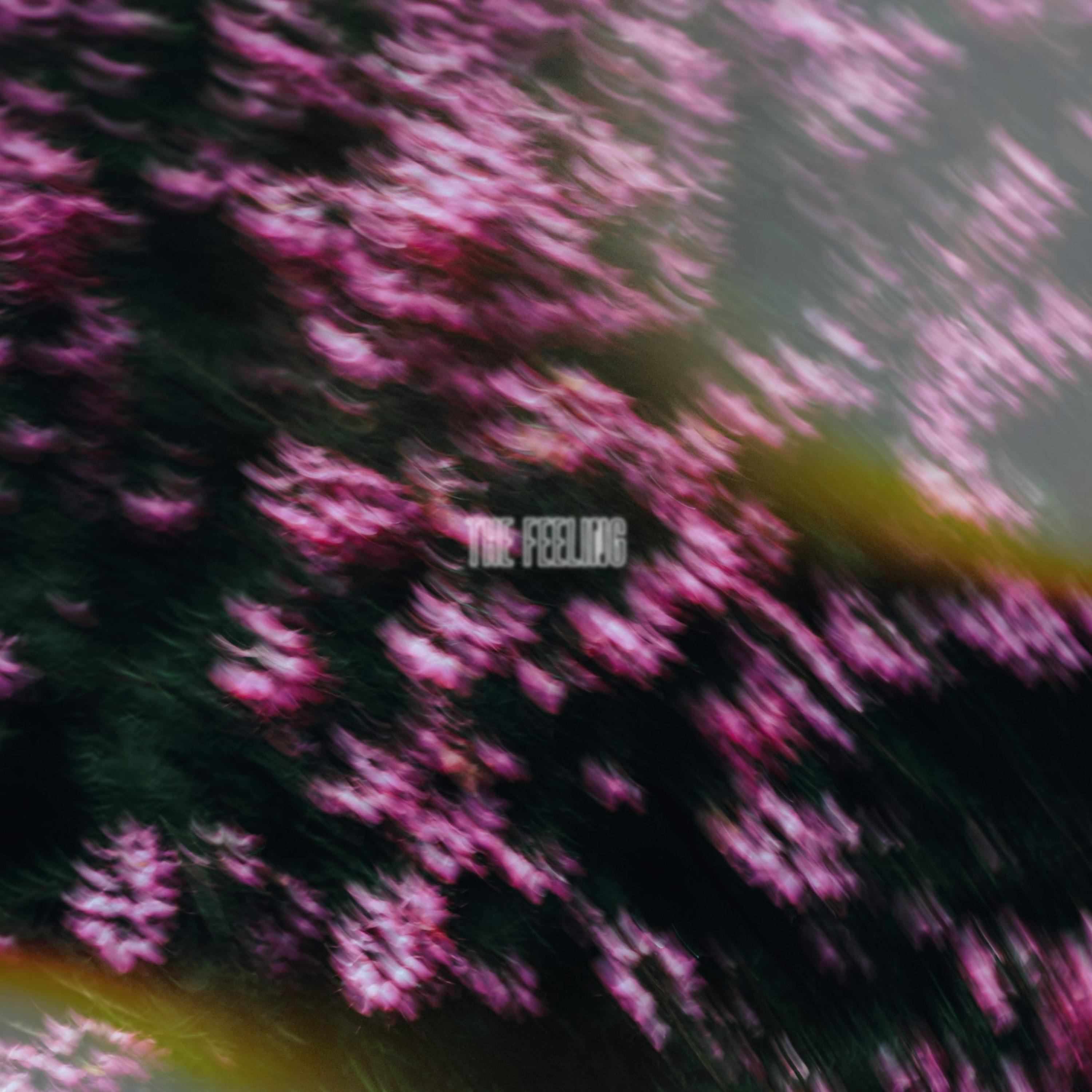 The Feeling (feat. Kenny Sway)