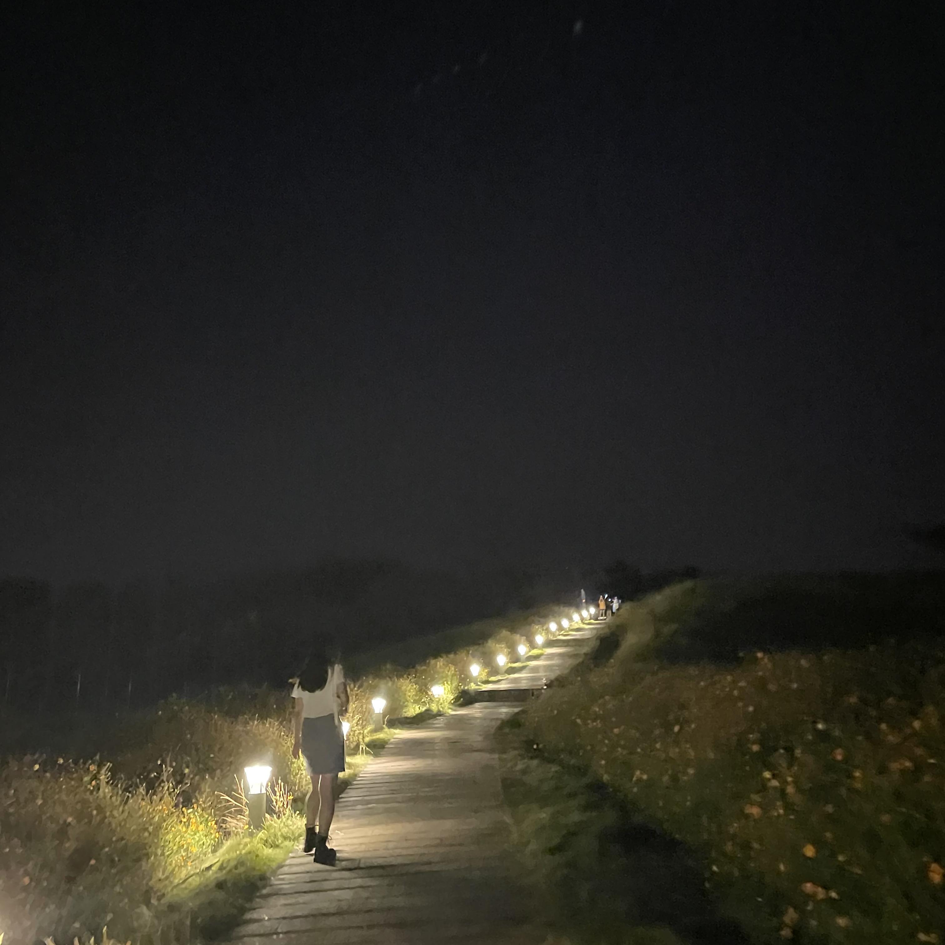 错把路灯当月光封面