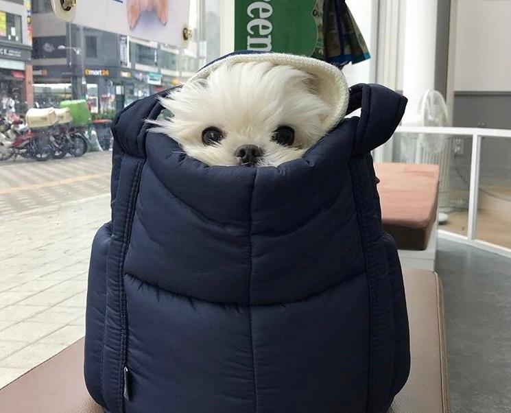 陆天锴Kai