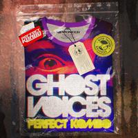 Ghost Voices