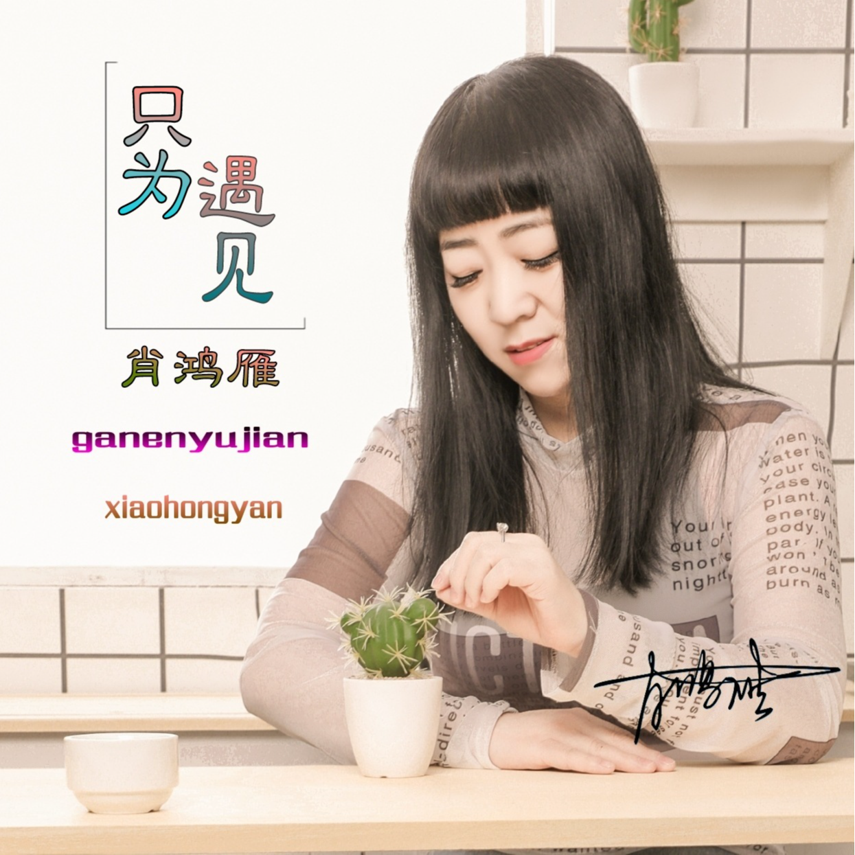 只为遇见封面