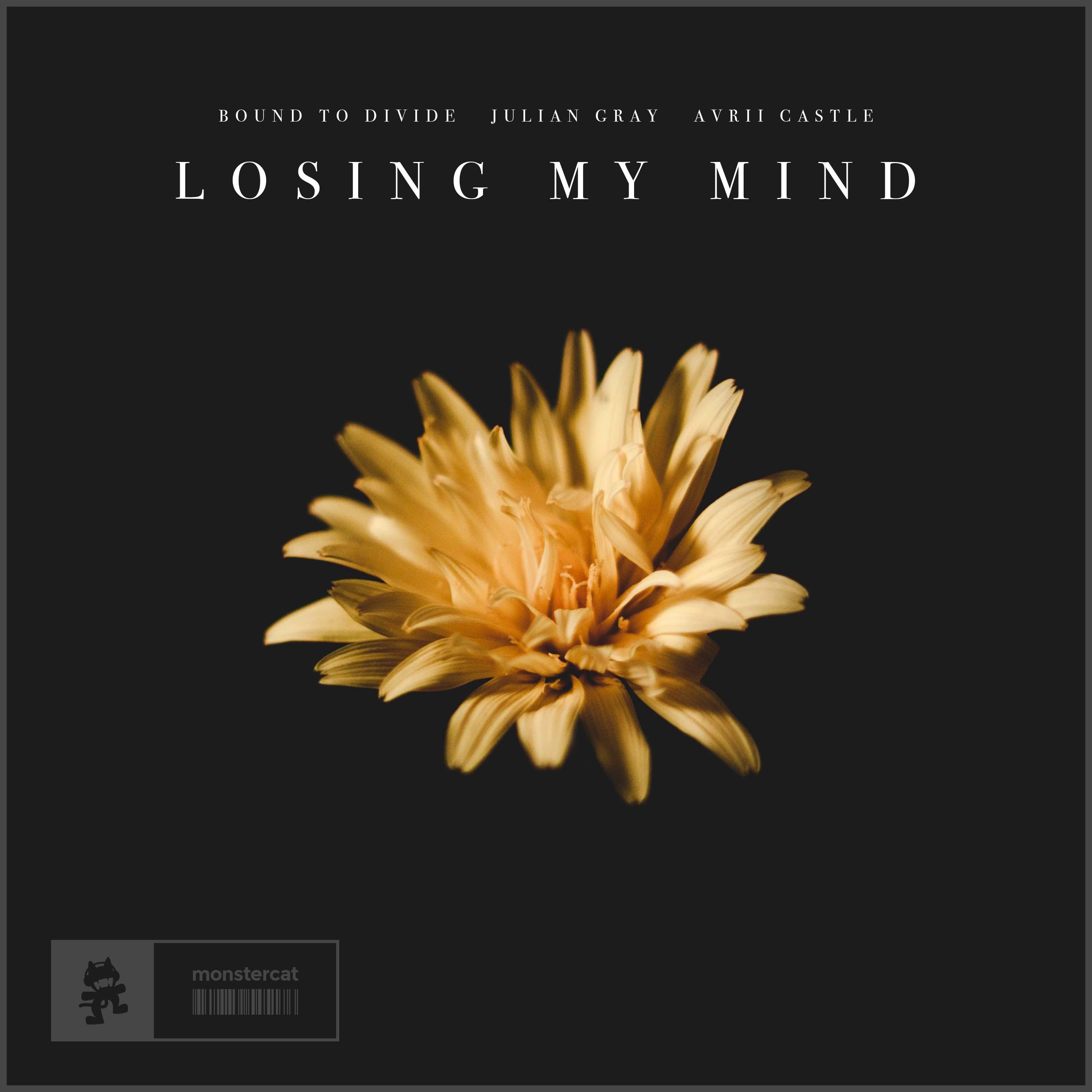 Losing My Mind (Extended Mix)