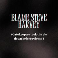 Blame Steve Harvey (feat. 2wIIn Kingz & Supernalist)