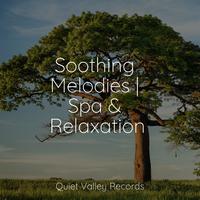 Soothing Melodies | Spa & Relaxation For Dogs