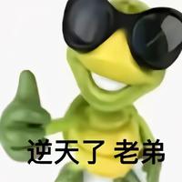 逆天了 老第