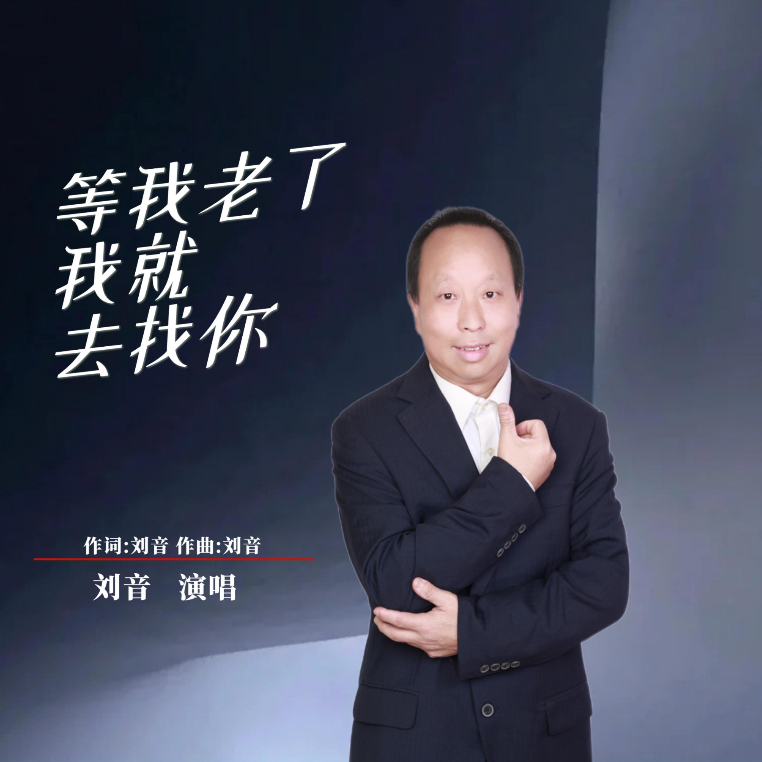 等你老了我就去找你封面