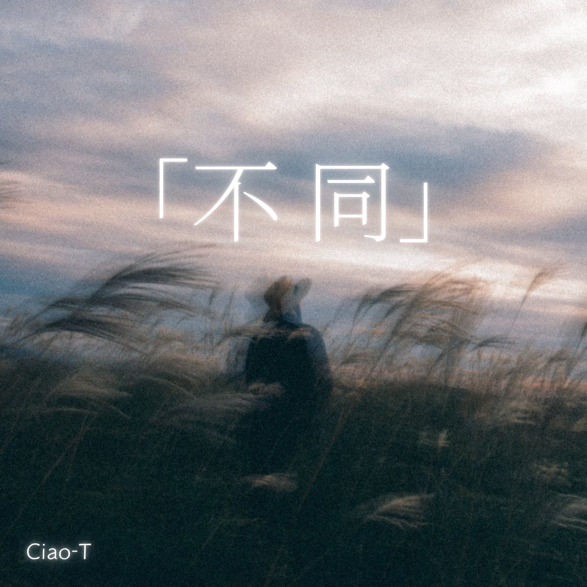 不同（温柔男声版）封面
