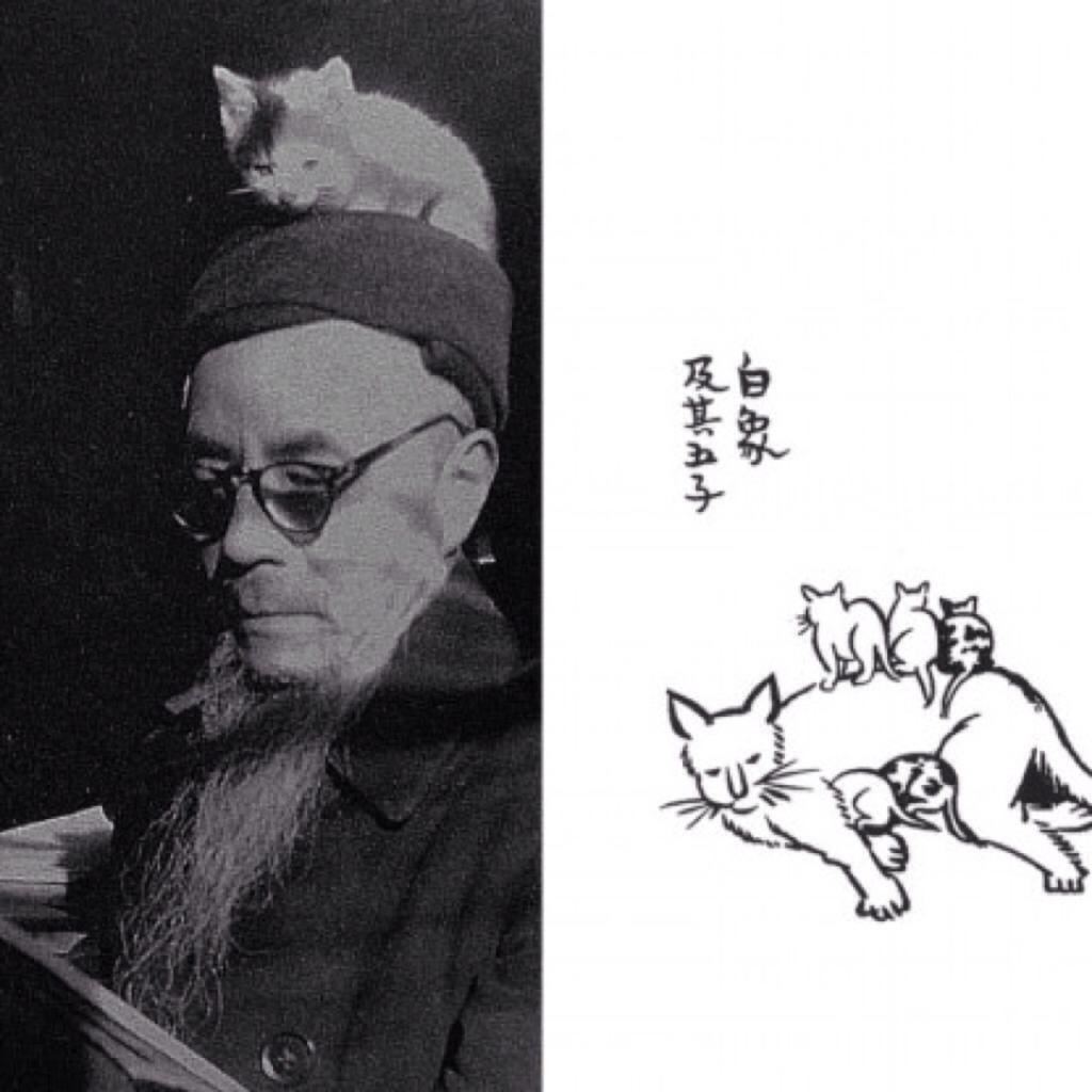 丰子恺谈音乐 第七讲 Liszt