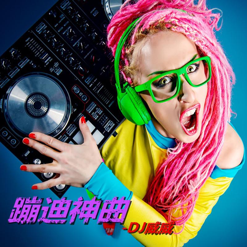 旅行旋律 (DJ版)封面