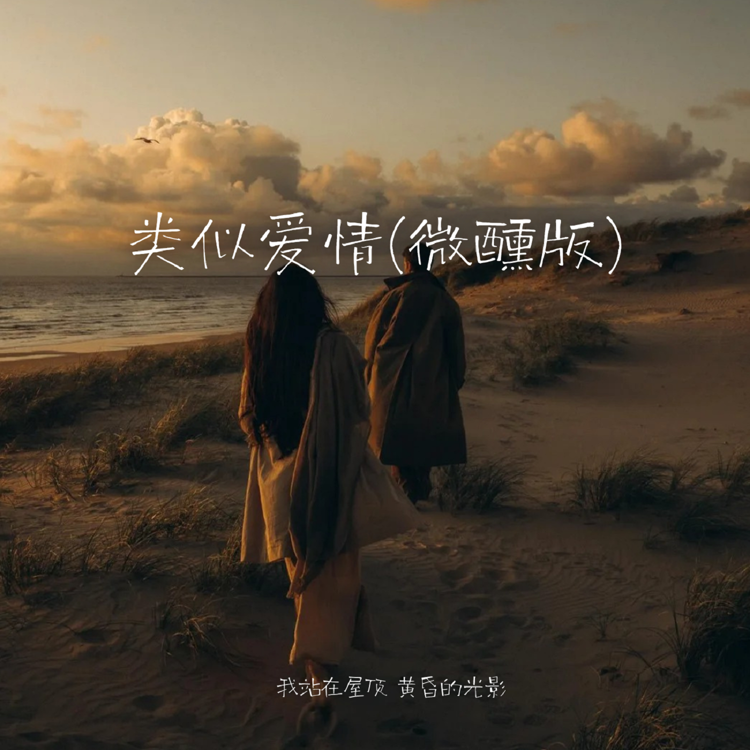 类似爱情(微醺版) - SHE栗子封面