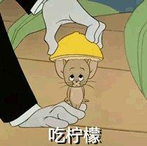 M列////RAP