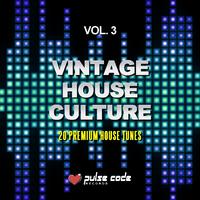 Vintage House Culture, Vol. 3 (20 Premium House Tunes)