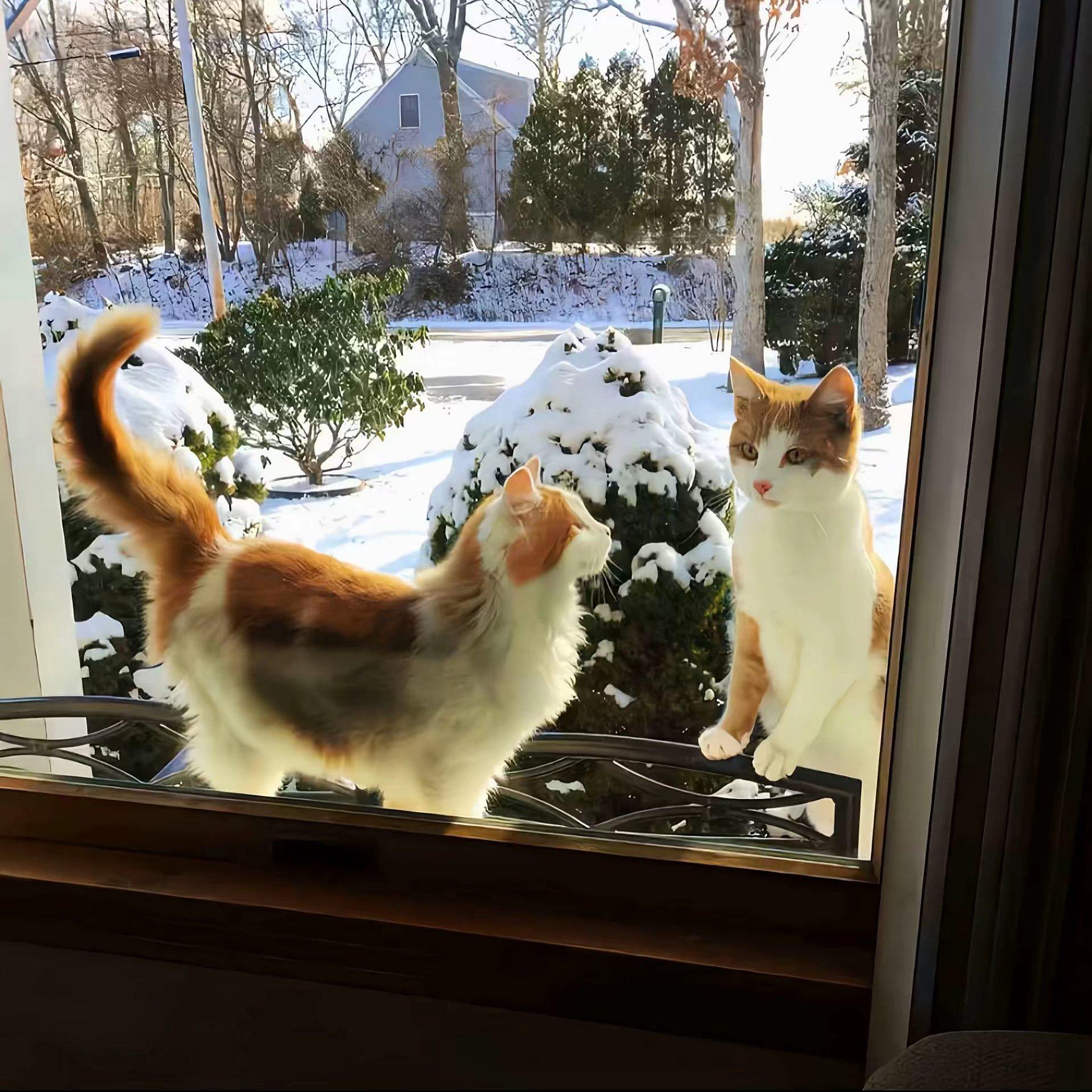 “奏响思念篇曲”｜Amore｜