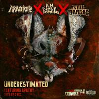 Underestimated (feat. Apathy & D-Rec)