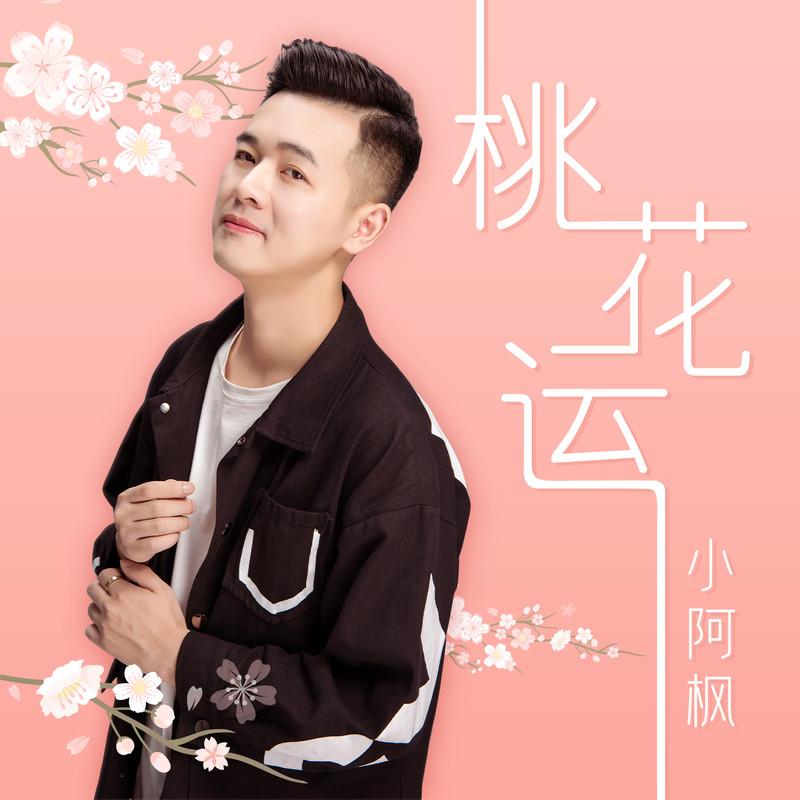 桃花运封面