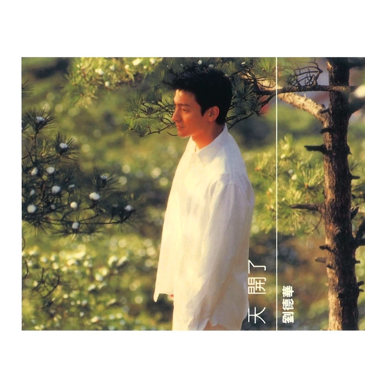 刘德华-《天开了》