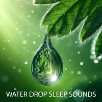 Water Drop Sleep Sounds