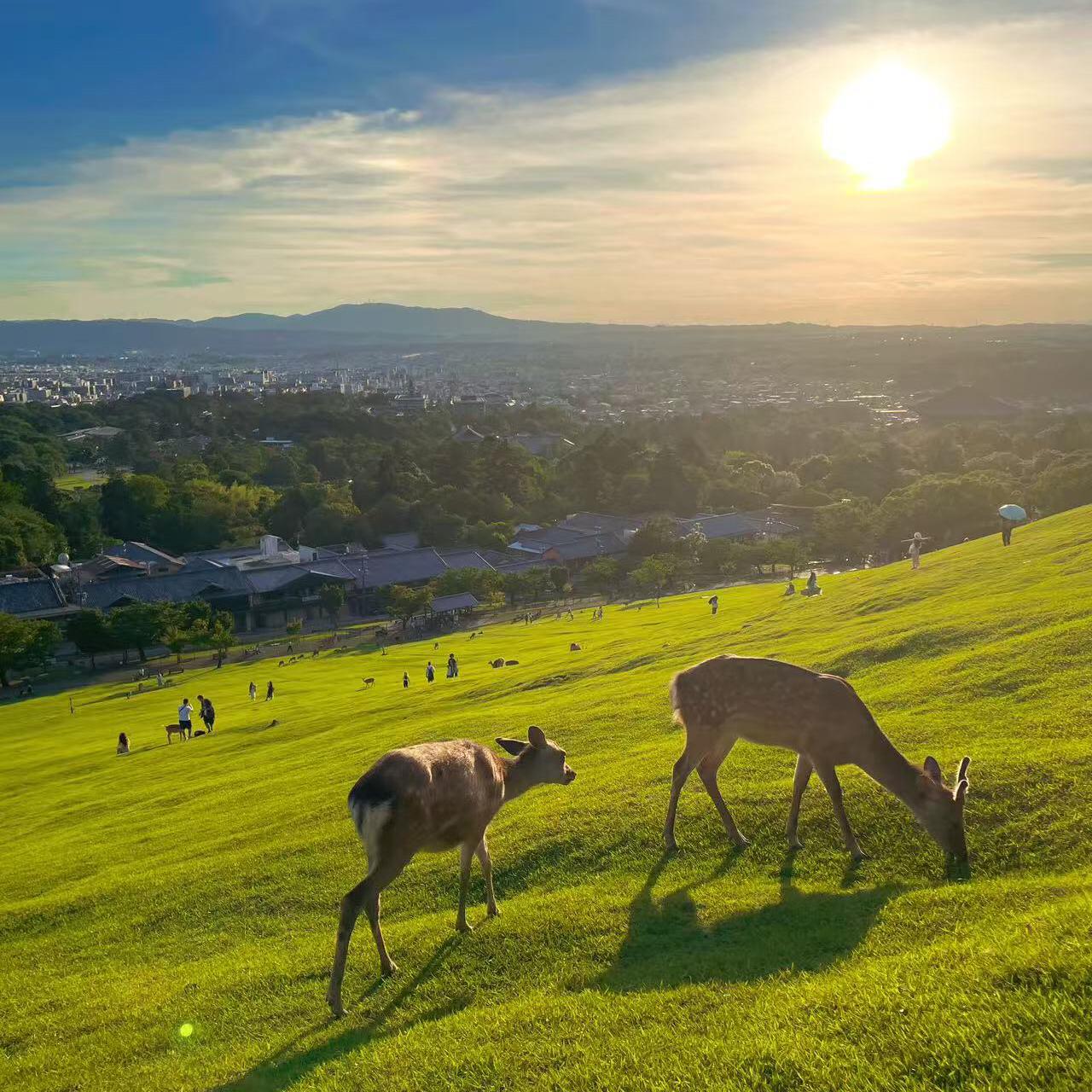 Versutus宝藏音乐人 必听
