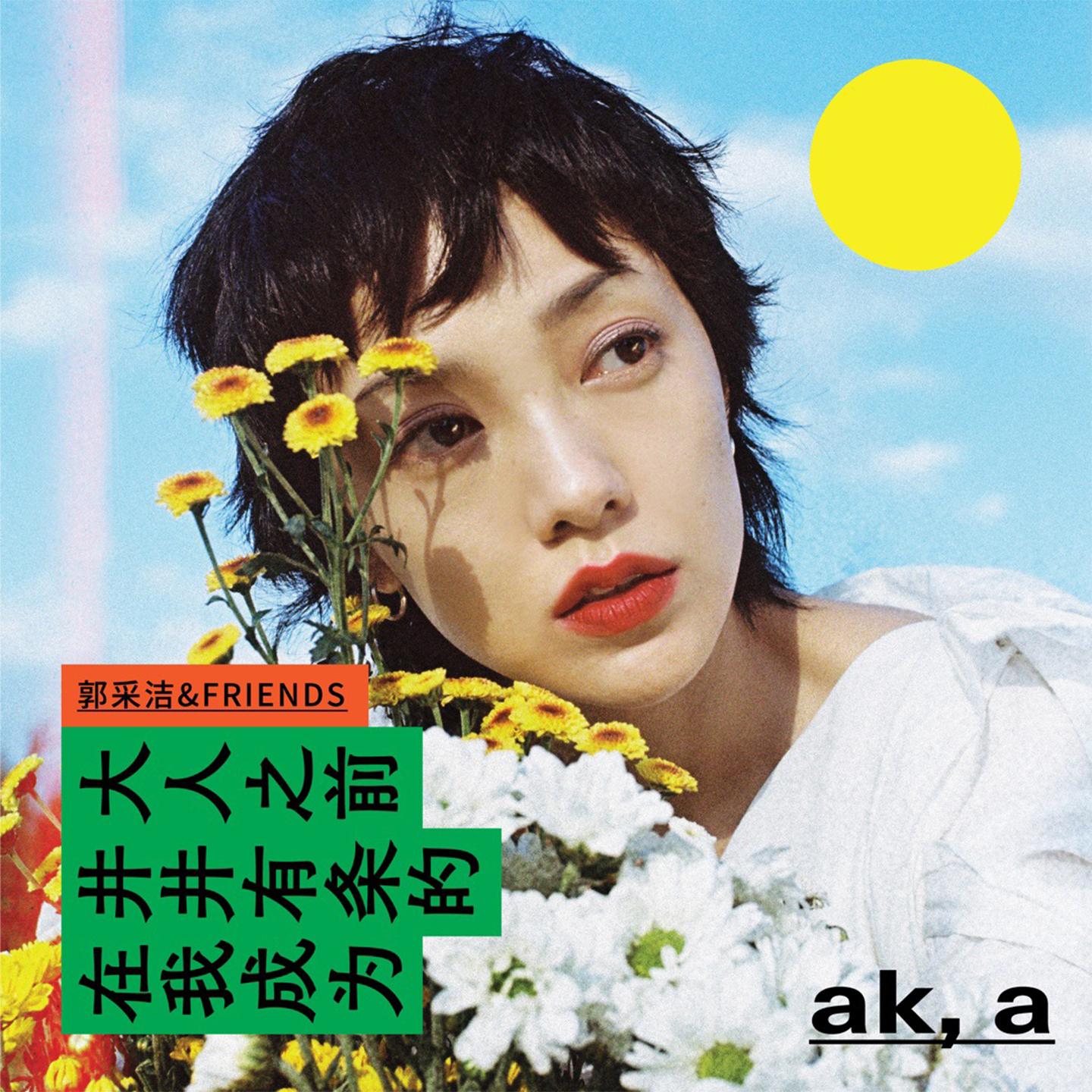 在我成为井井有条的大人之前_郭采洁_在我成为井井有条的大人之前 | 在线播放_在我成为井井有条的大人之前歌词_在我成为井井有条的大人之前下载 | 网易云音乐