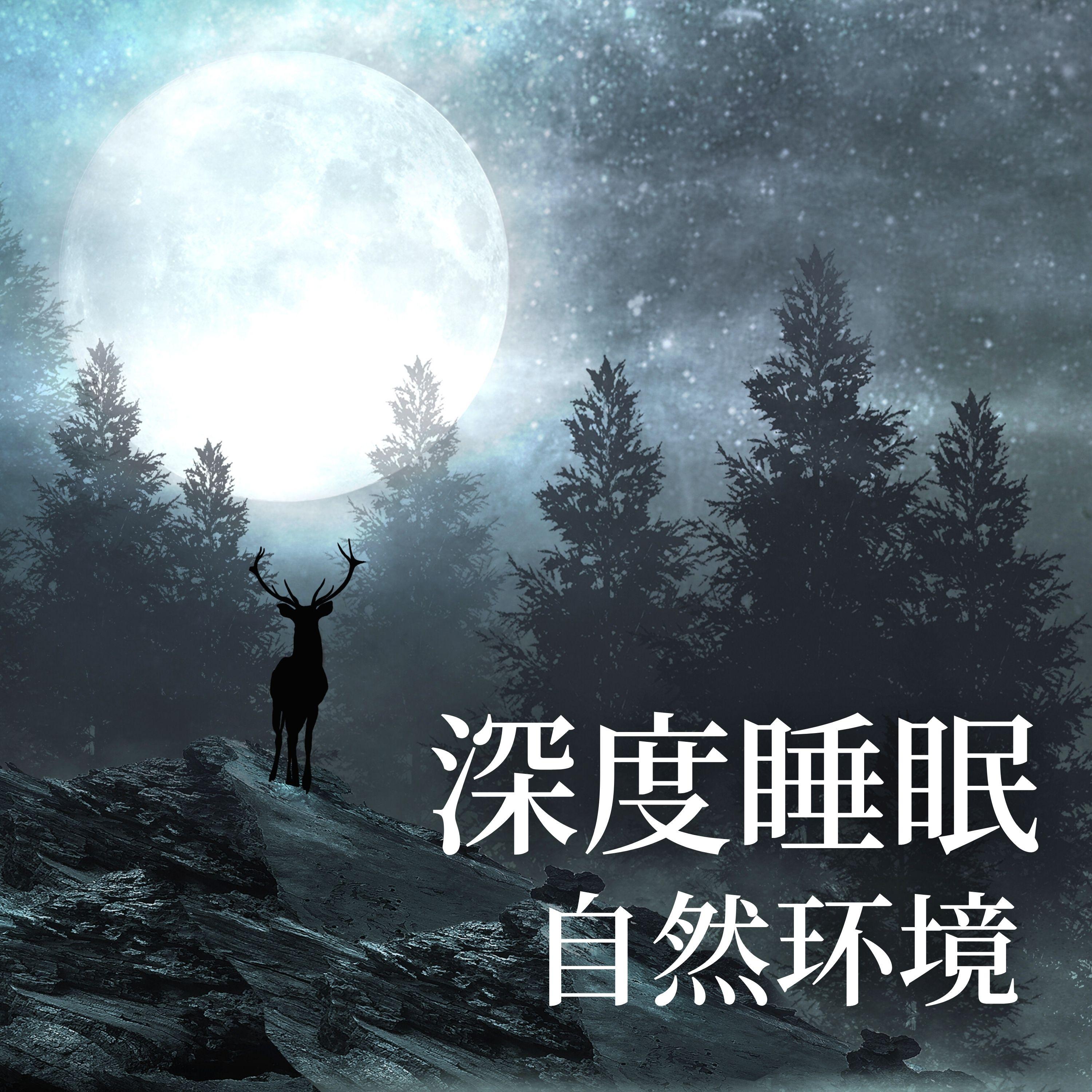 自然治愈 - 睡眠质量封面