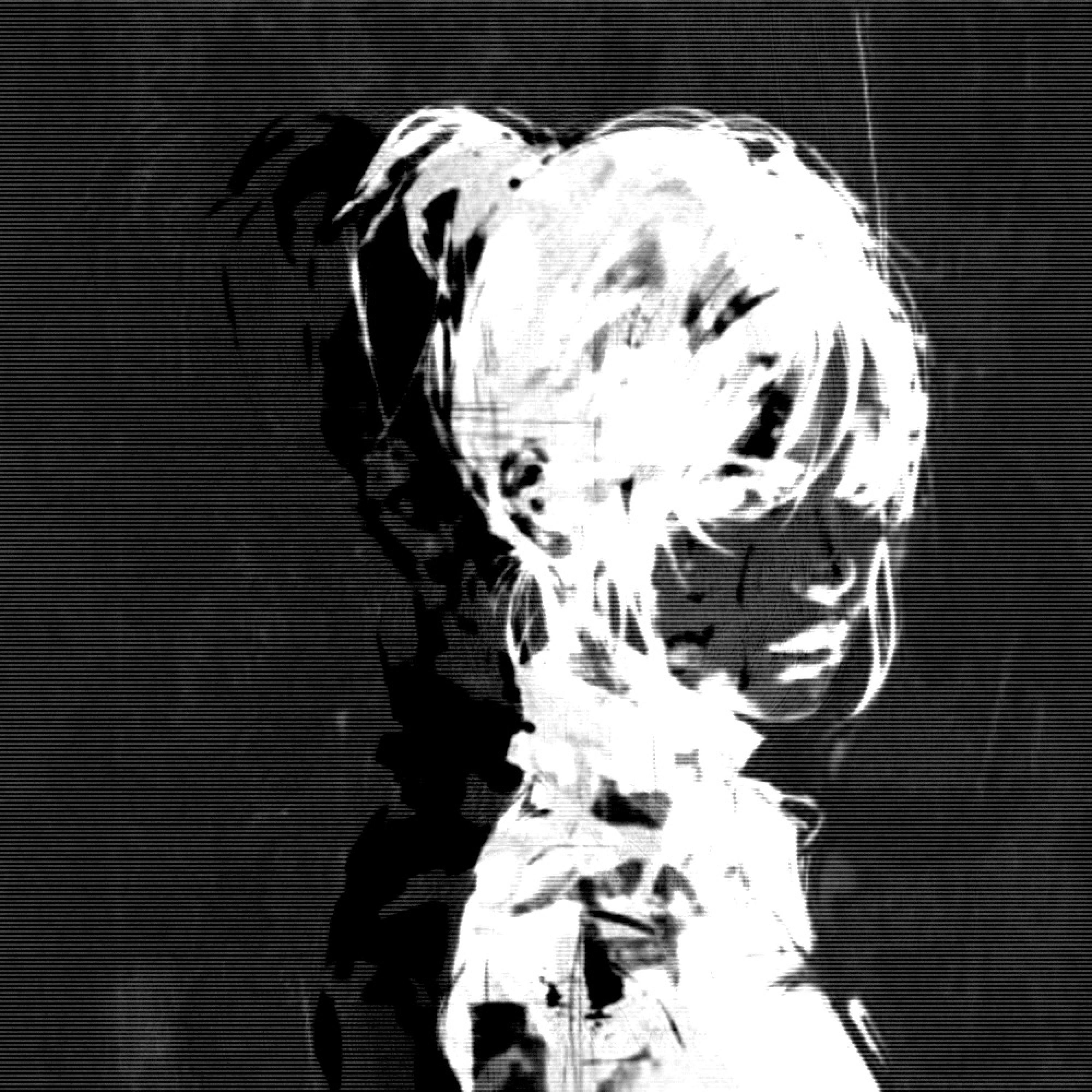 Shell of Mind (Slowed + Reverb)