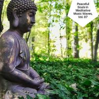 Peaceful Souls In Meditative Music Waves, Vol. 07