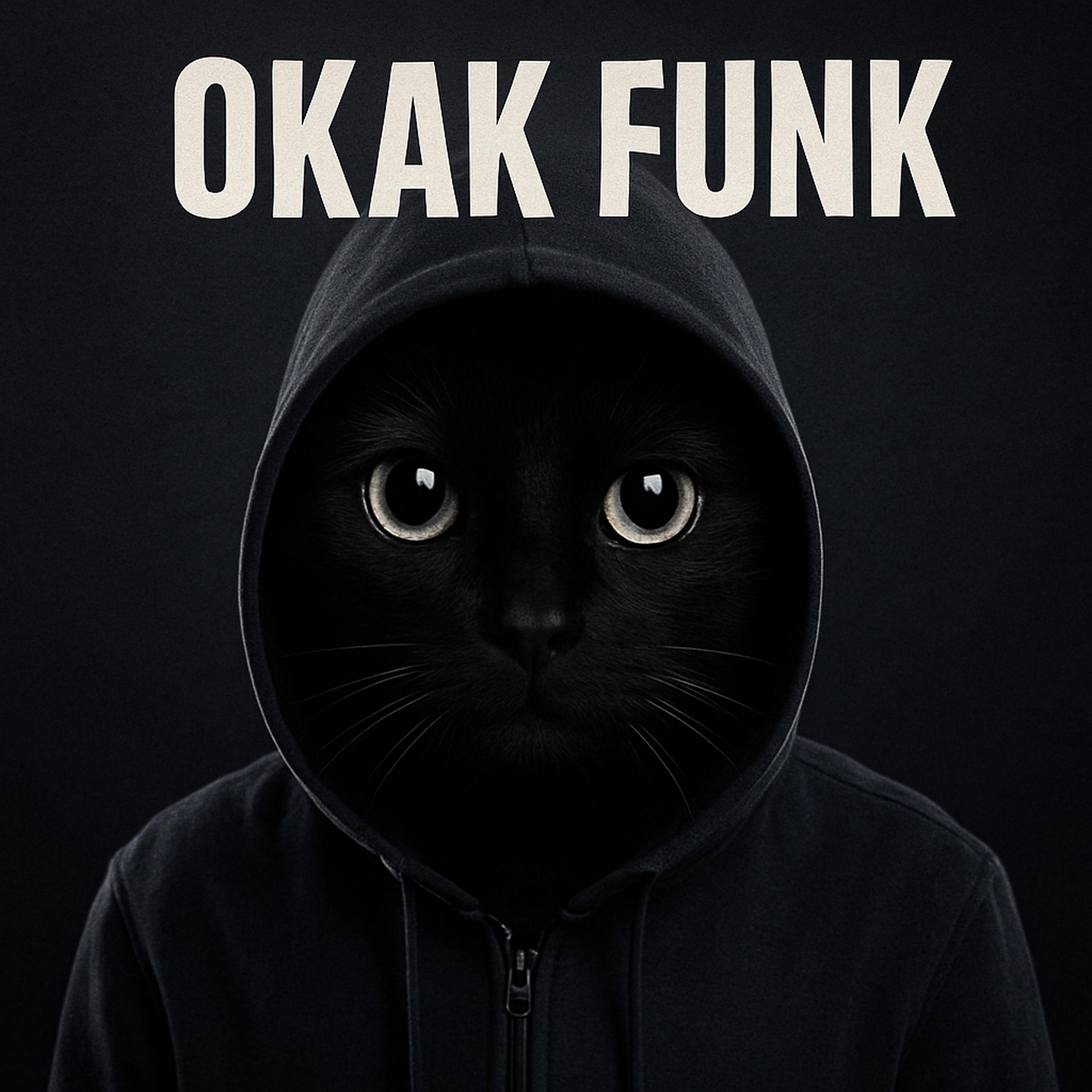 OKAK FUNK MONTAGEM TOMADA 2 (Sped Up)