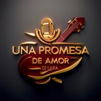 Una Promesa De Amor