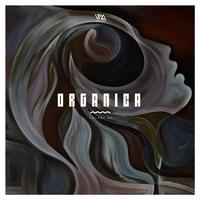 Organica, Vol. 66