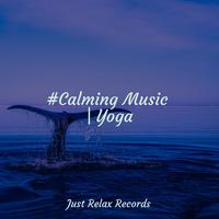 #Calming Music | Yoga