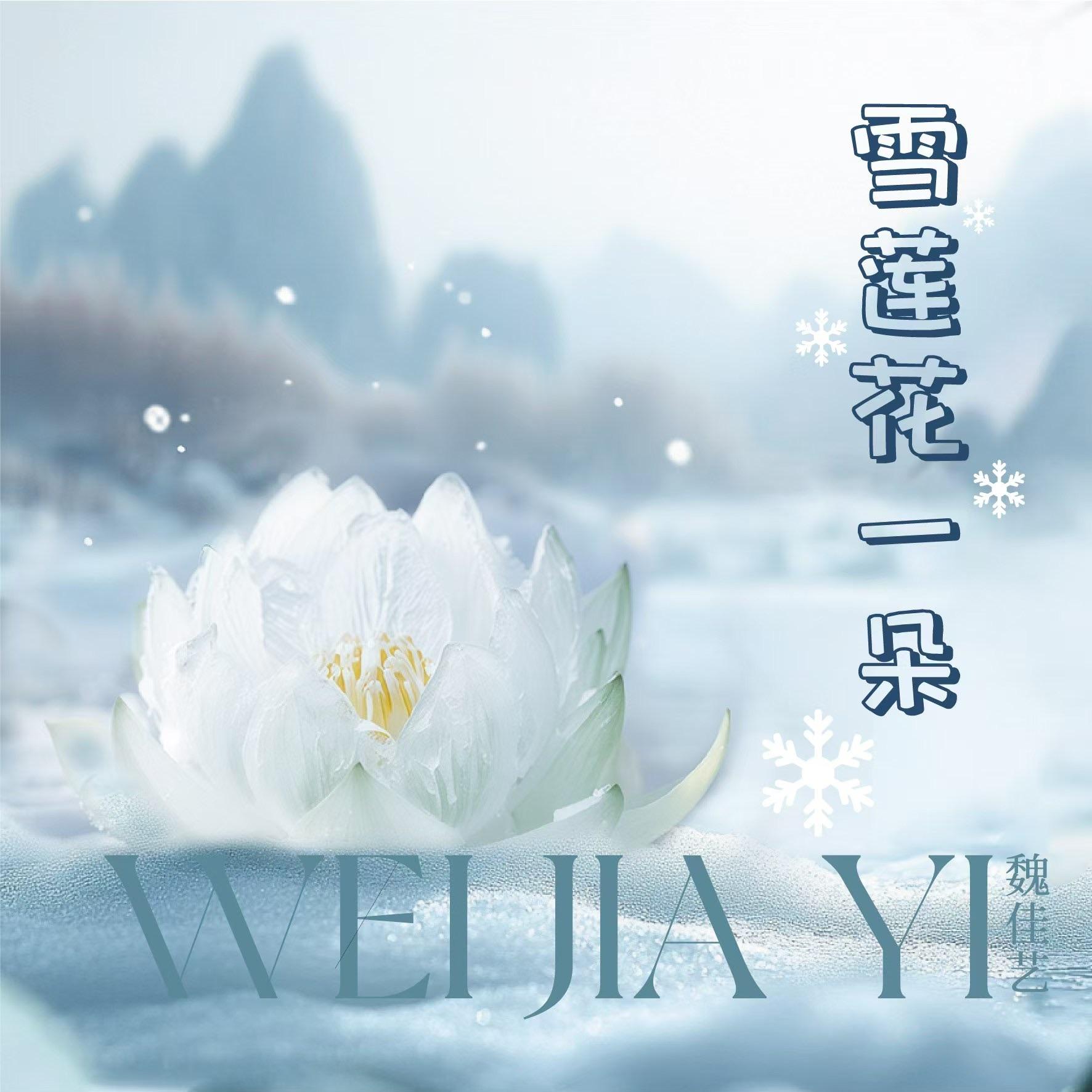 雪莲花一朵（DJ版） - 魏佳艺封面