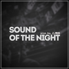 徐郝 - Sound Of The Night