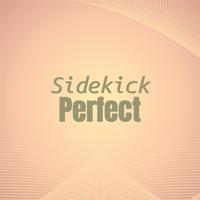 Sidekick Perfect