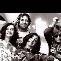 The Dead Milkmen