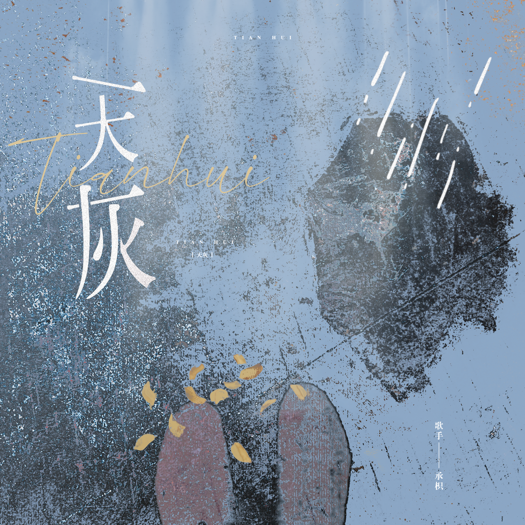 天灰(我的天空今天有点灰)封面