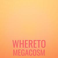 Whereto Megacosm