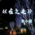 夜之光 (DJ黎小霸版) - 石雪峰、花姐封面